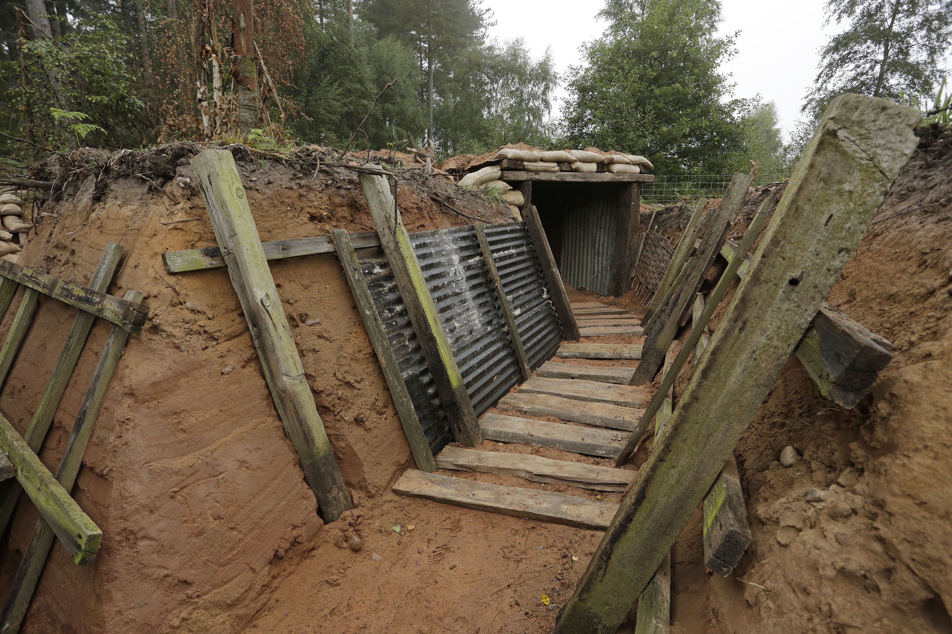 trenches-at-sherwood-pines-forestry-england